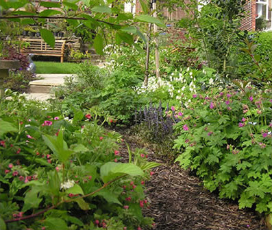 Trisha Patterson Garden Design